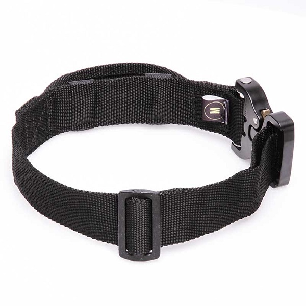 Nylon Dog Collar for Walking