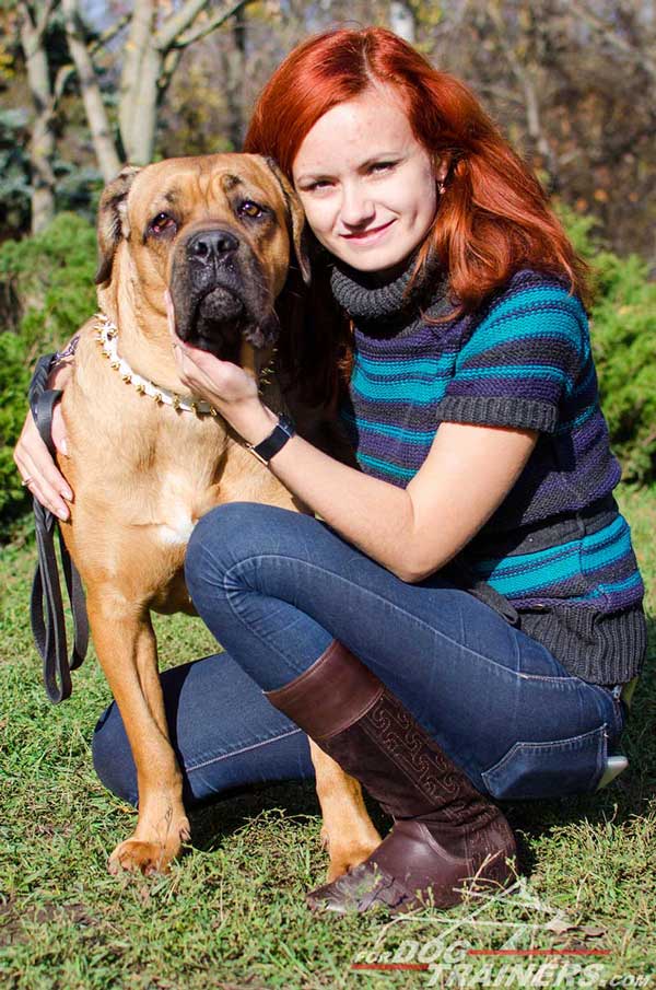 Exquisite Decorated Leather Cane Corso Collar for Walking