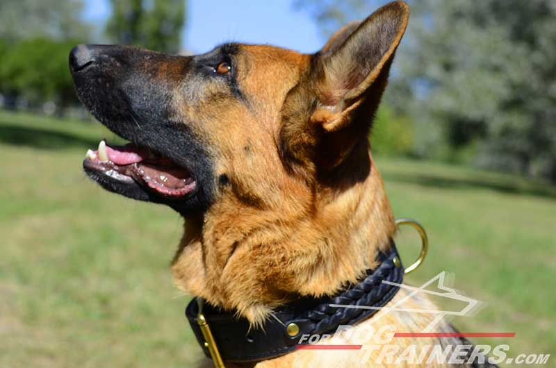K9 Luxury Custom handcrafted dog harness Fit German Shepherd : German  Shepherd Breed: Dog harnesses, Muzzles, Collars, Leashes
