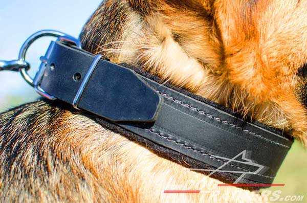 Dog Collar Leather with Border Stitching for Training GSD