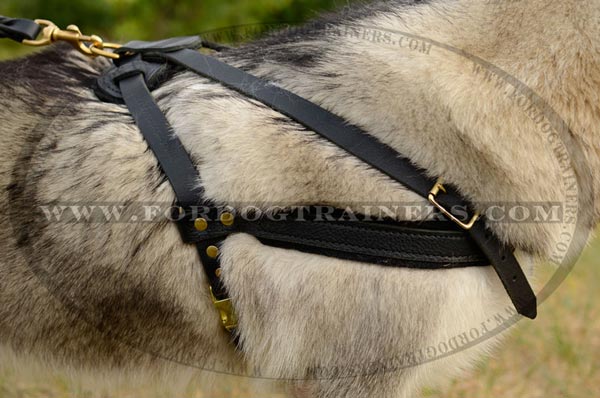 Leather Dog Harness for Malamute Breed