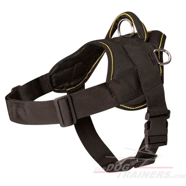 Lightweight Nylon Dog Harness Stitched for Strength