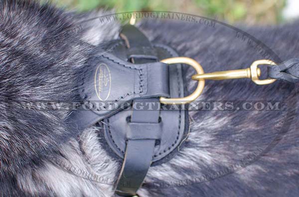 Comfy Back Plate of Leather Dog Harness