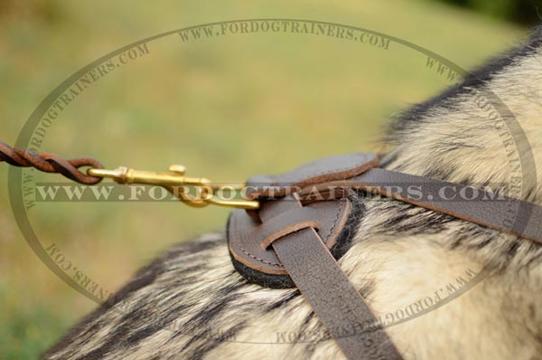 Soft Back Plate and D-Ring of Leather Dog Harness for Malamute