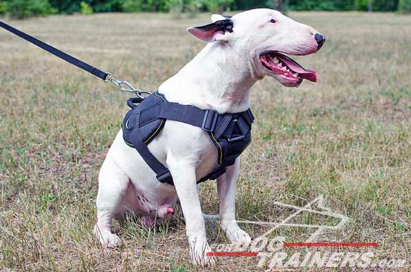 Nylon Dog Harness for Working Dogs