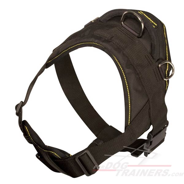 The Production Of Best-selling Nylon Dog Training Harness Will Be ...