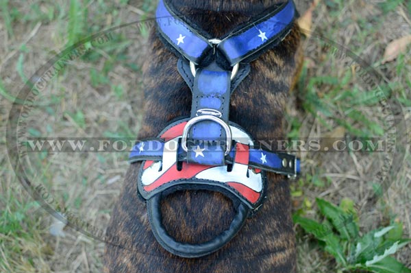 Leather Handle on Dog Harness with American Pride Image