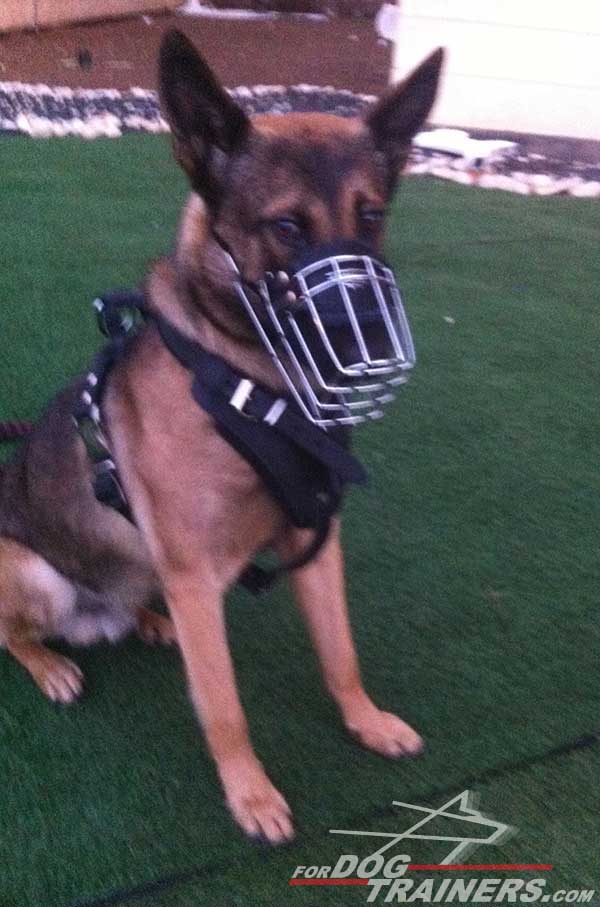 Durable Wire German Shepherd Muzzle for Everyday Training