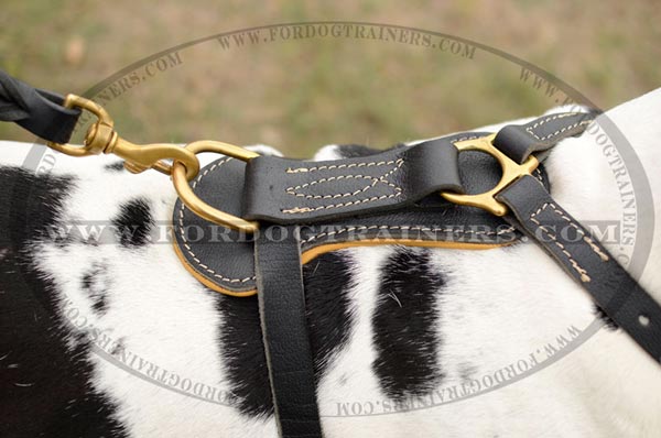 Leather Great Dane harness with reliable stitching and brass D-ring