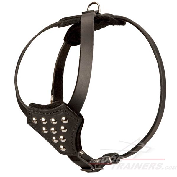 Adjustable Leather Puppy Harness with Studs