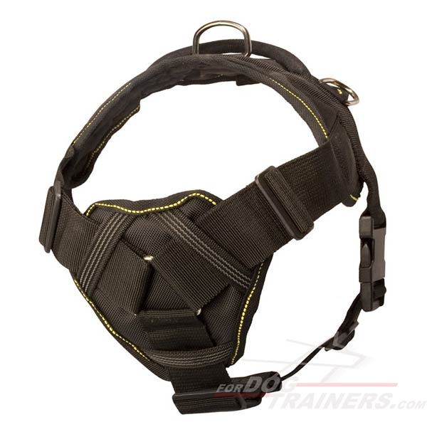Dog harness with padded chest plate