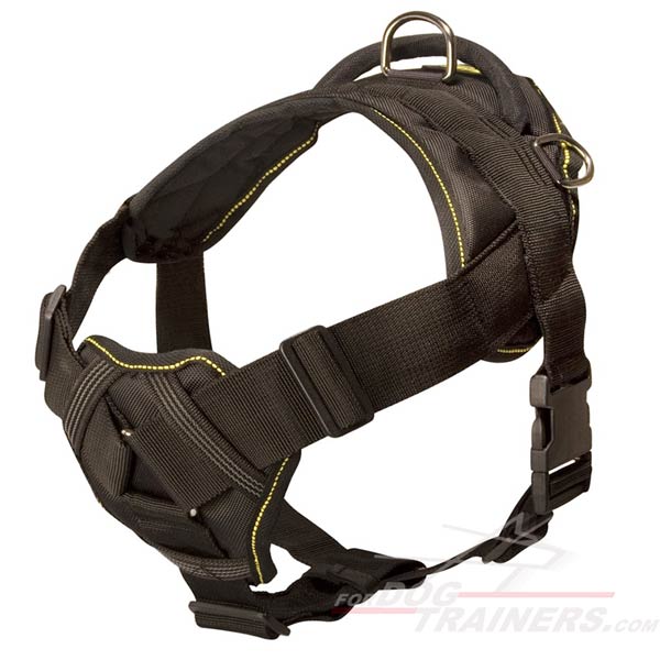 All-weather harness