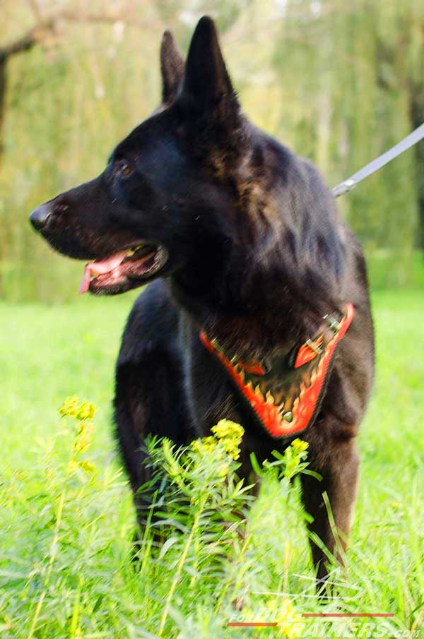 Leather German Shepherd Harness Made to Order by Skilful Specialists