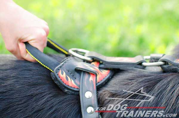 Comfortable Heavy-Duty Upper Control Handle for Management of A Big Canine