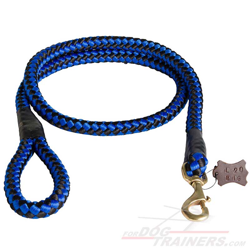 strong dog leads