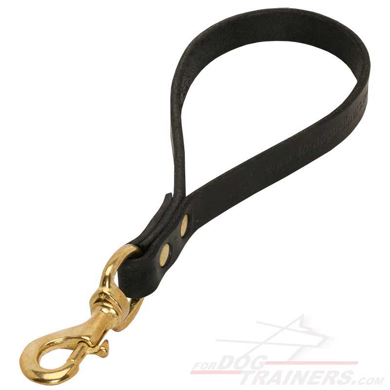 short dog leash