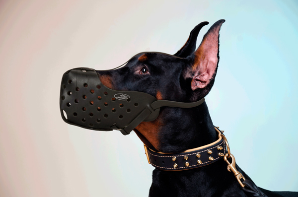 Durable Leather Dog Muzzle on Doberman