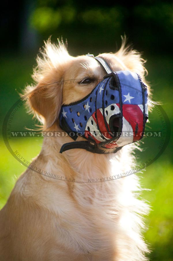 Dogs are happy to wear this muzzle