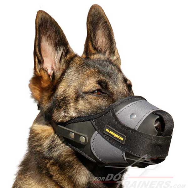 unique dog muzzles