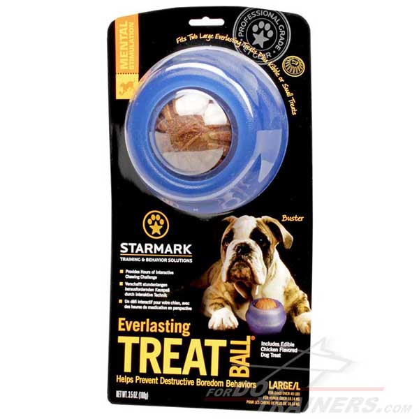 Adventure Game' Rubber Dogue de Bordeaux Treat Dispenser - Medium