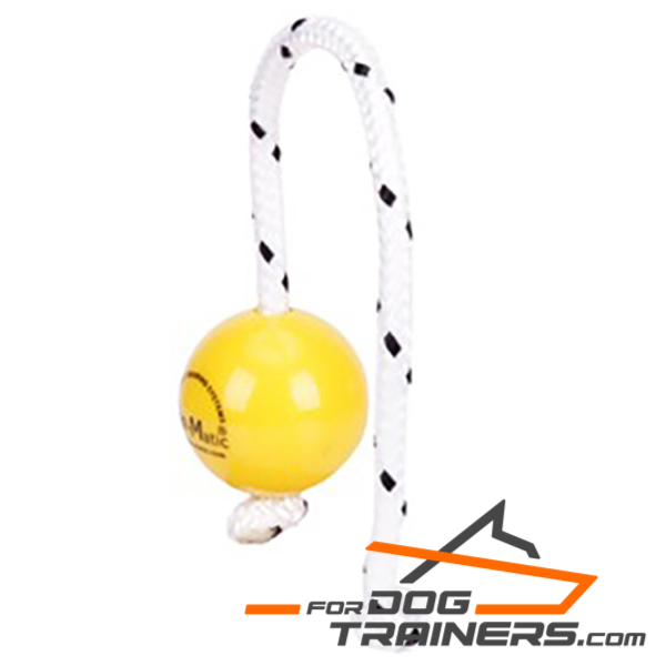 soft rubber dog ball