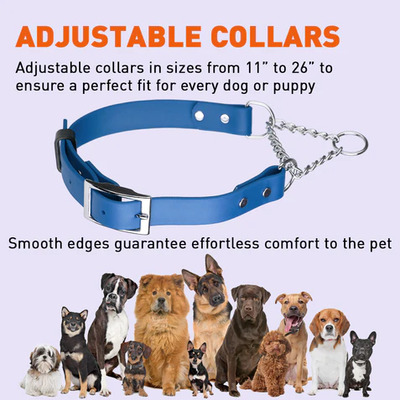 Biothane Martingale Collar with Metal Buckle