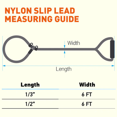 Nylon Slip lead