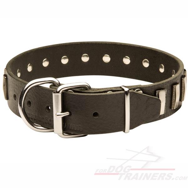 Cool design of Leather Dog Collar