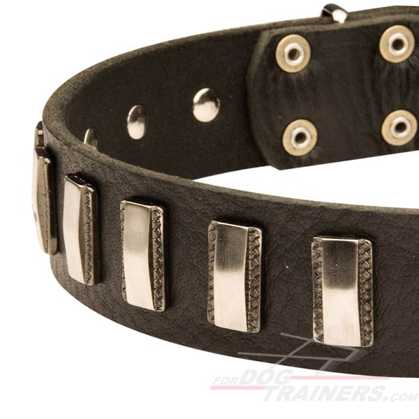 Leather Dog Collar with stunning plates