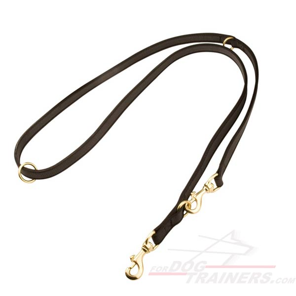 Get Nylon Leash for Dogs|I-Greap Best Dog Leash