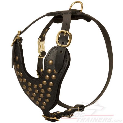 Walking Luxury Handcrafted Leather Dog Harness [H7###1092 Leather Tracking Dog  Harness] : Custom dog harnesses for Pulling, Training, Tracking, Walking