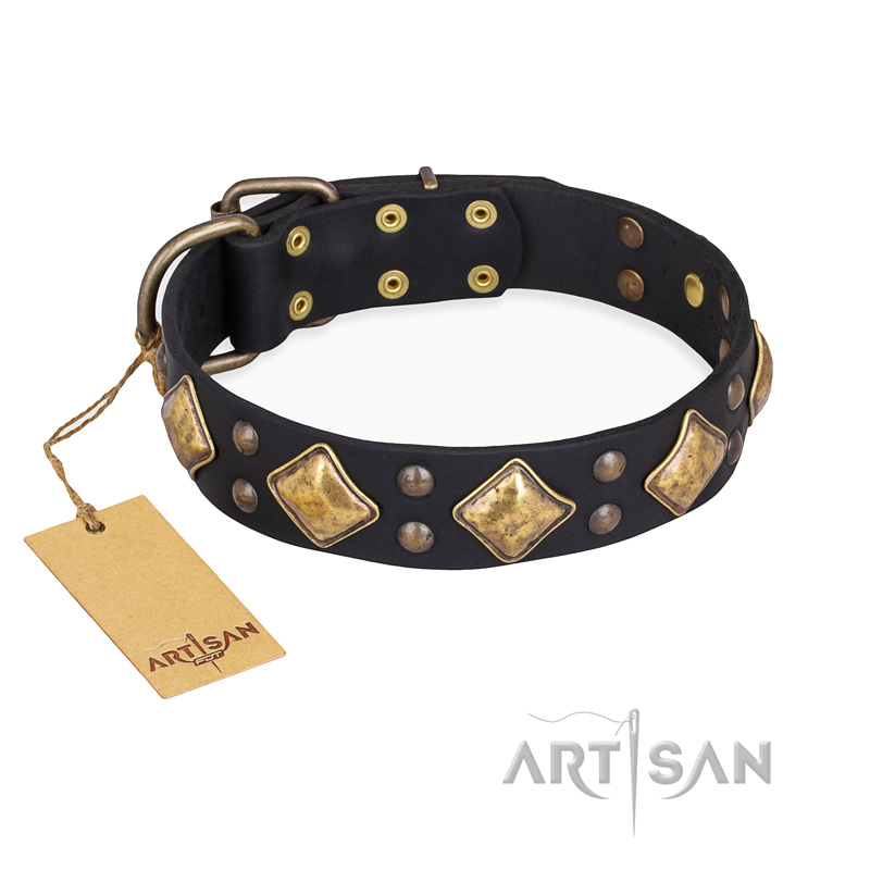https://www.fordogtrainers.com/images/large/Leather-dog-collar-old-bronze-plated-studs-C236_LRG.jpg