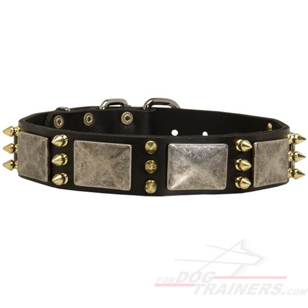 Gorgeous Leather Dog Collar