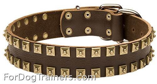 Leather handcrafted dog collar