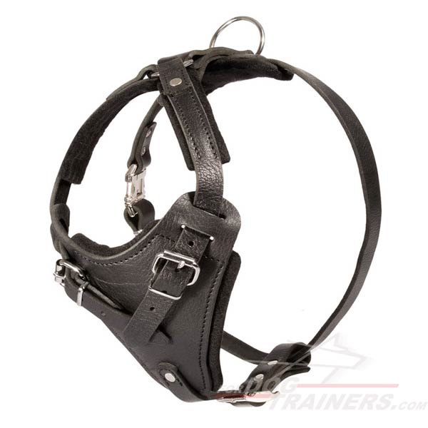 Strong Canine Leather Harness for Agitation / Attack Work