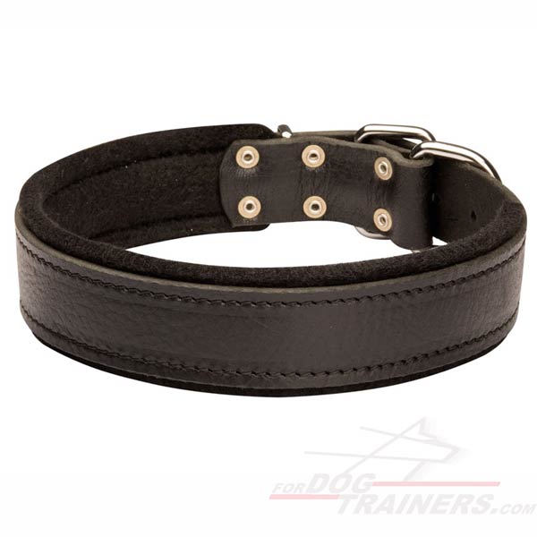 Padded Dog Collar Leather for German Shepherd