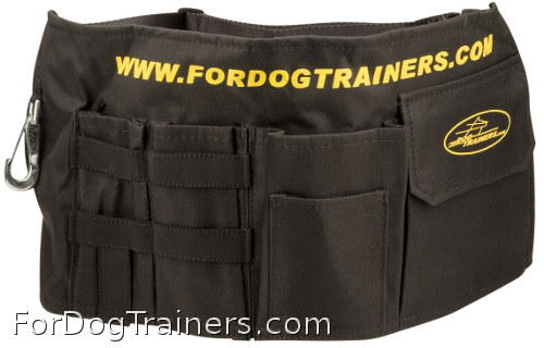 https://www.fordogtrainers.com/images/large/TE78_LRG.jpg