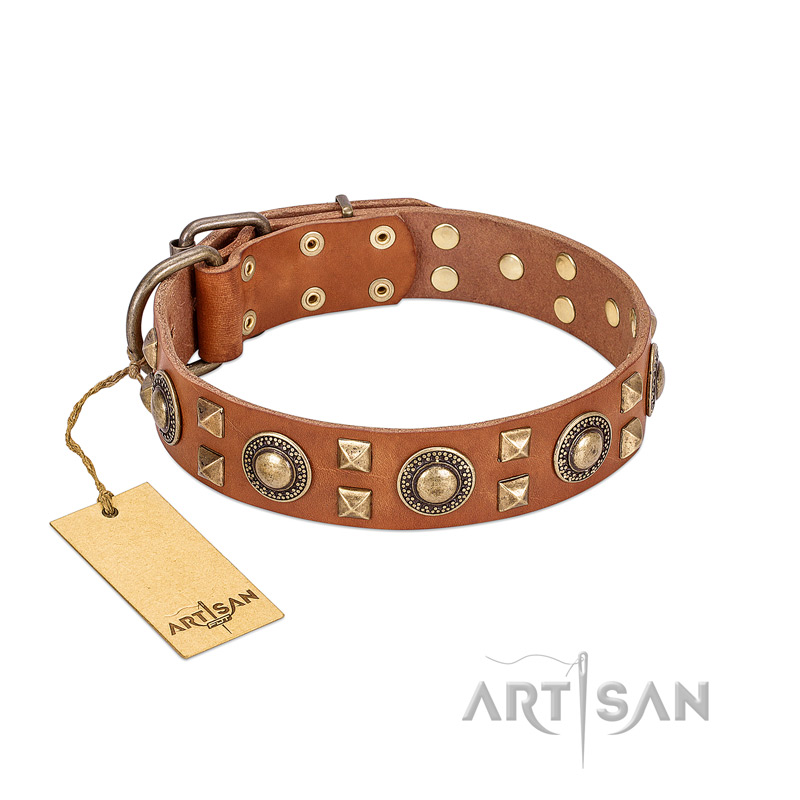 Fantastic Tiffany & Co Leather Dog Collar - Made In Italy - WOW ! - GREAT  GIFT ITEM ! #515132
