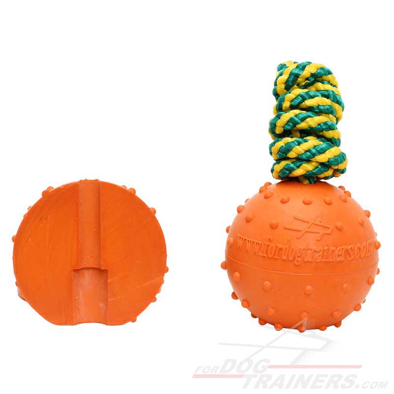 ball on a string dog toy