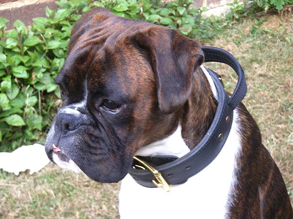 Boxer Dog Leather Keyring