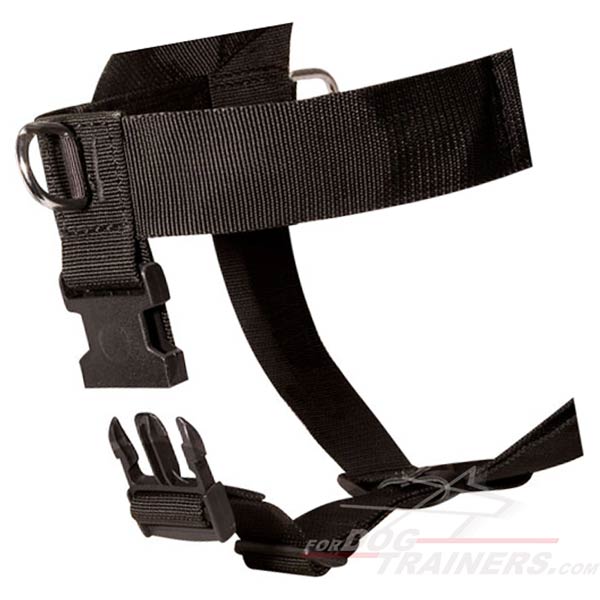 all weather dog harness better dog control