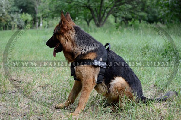 Buy German Shepherd Control Harness for Dogs