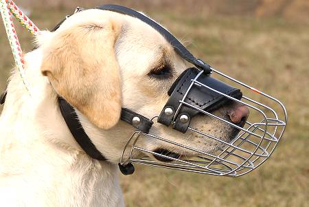 basket muzzle for dogs