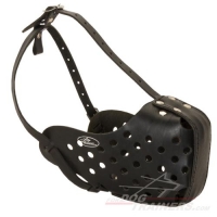 basket muzzle for dogs at tsc