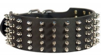 spiked dog collars for protection